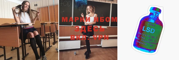 прущие крисы Губаха