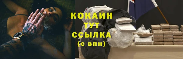 бошки Осинники